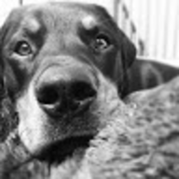 Meet your Posher, Diana - Picture 1 of 1